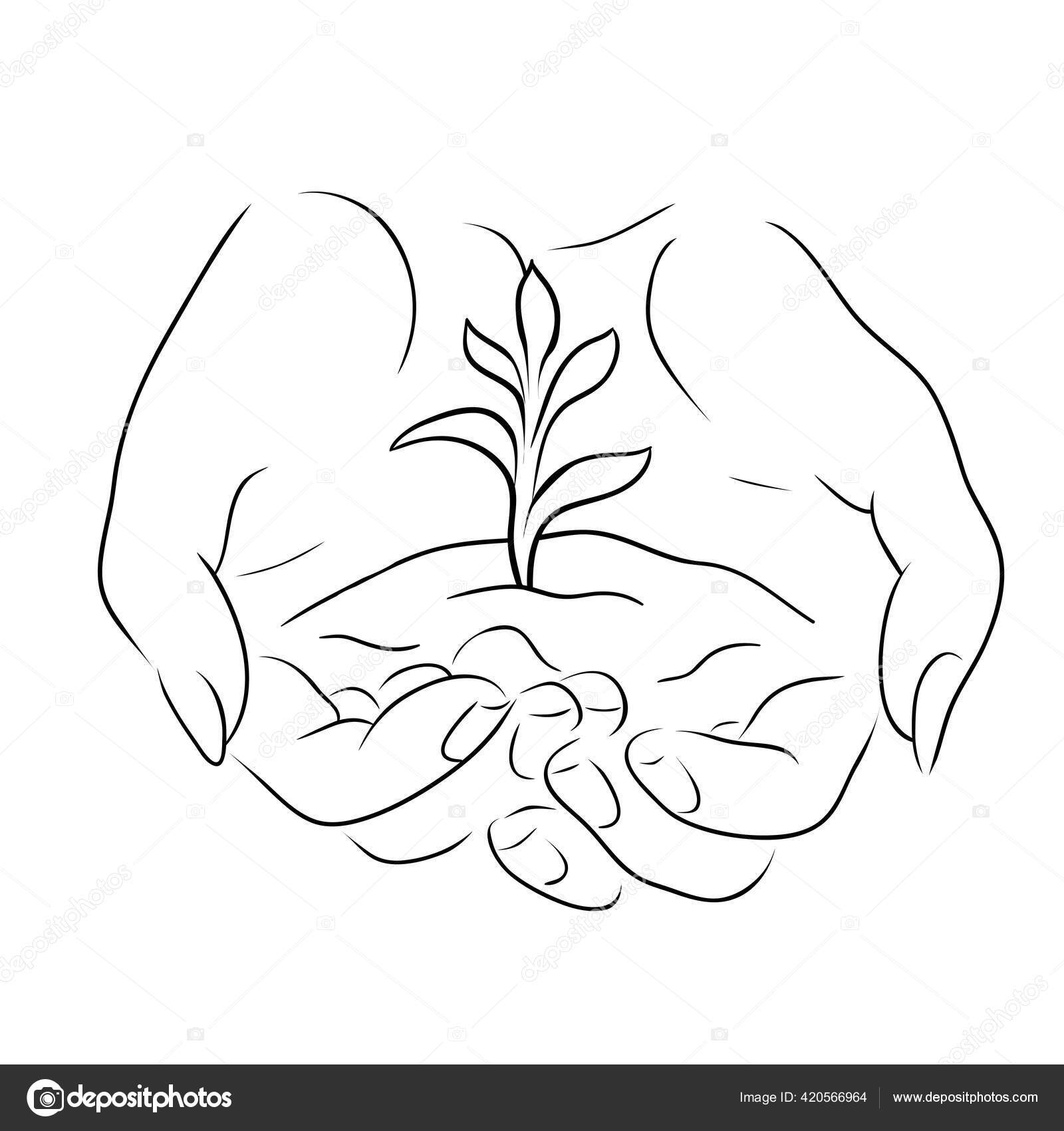 World nature conservation day. Single continuous one line art growing  sprout. Plant leaves grow planet Earth seedling eco natural concept design  sketch drawing vector illustration art Stock Vector | Adobe Stock