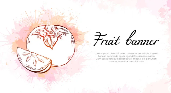 Horizontal Banner Outline Persimmons Watercolor Splashes Sketch Fruit Juicy Sprays — Stock Vector