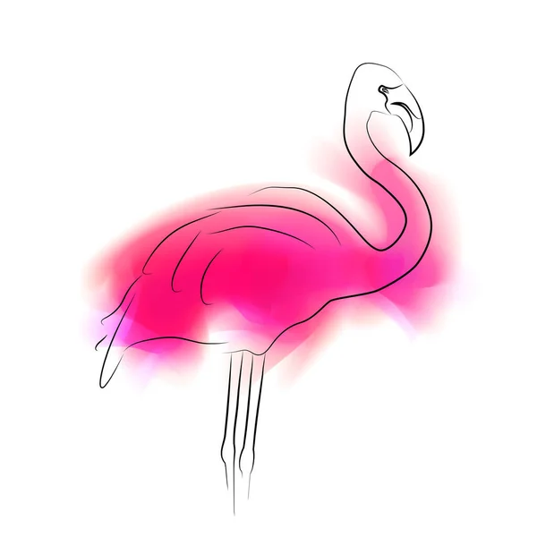Kontur Flamingo Mit Rosa Farbflecken Auf Weißem Hintergrund Aquarell Farbflecken — Stockvektor