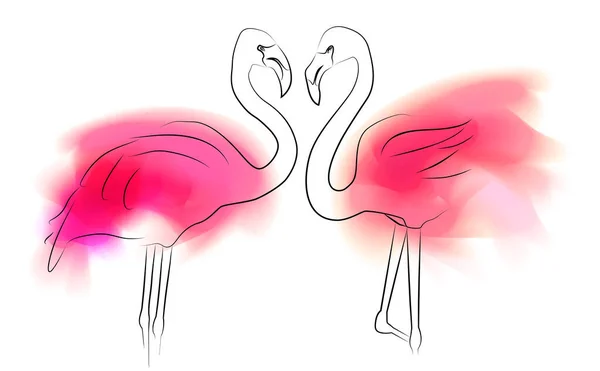 Outline Illustration Pair Flamingo Pink Color Stains White Background Love — Stock Vector