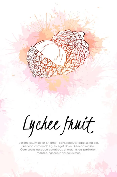 Banner Vertical Con Ilustración Frutas Tropicales Lichi Con Salpicaduras Acuarela — Vector de stock