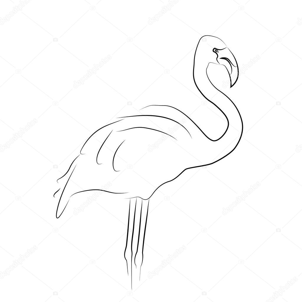 Contour black flamingo on a white background. Exotic bird. Vector outline figure for cards, banners and your creativity.