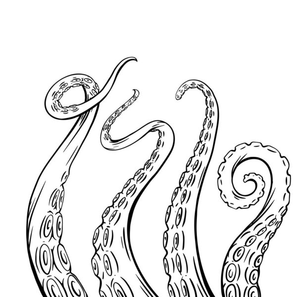 Set of black and white sketches octopus tentacles. Creepy limbs of marine inhabitants. Vector object for logos, tattoos, cards and your design.