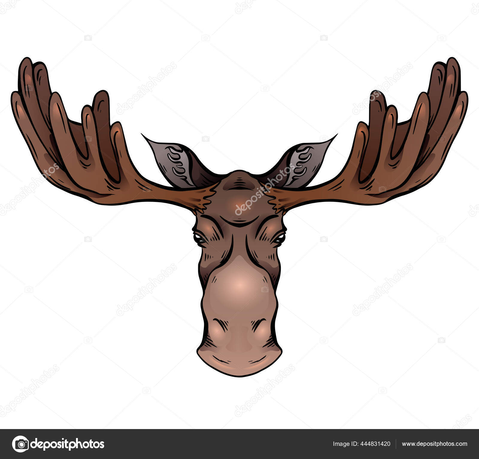 Farverig Illustration Elg Hoved Med Gevirer Front Visning Vildt Pattedyr  Stockvektor af ©veleri 444831420, image size:1600x1532