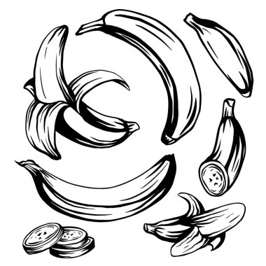 Çeşitli mürekkep taslakları muz. Tam, olgun, muz dilimleri. Tropik sulu bir ziyafet. Menüler, tarifler, kartpostallar ve yaratıcılığınız için vektör özeti nesnesi.