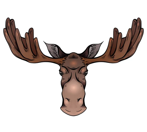 Färgstark Illustration Ett Älghuvud Med Horn Framifrån Vilda Däggdjur Vektor — Stock vektor