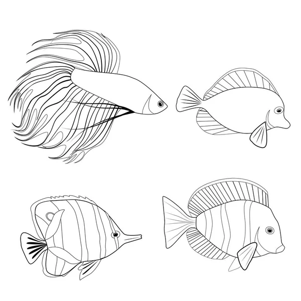 Conjunto Contorno Diferentes Peces Tropicales Gallo Pescado Pez Banderín Ángel — Vector de stock