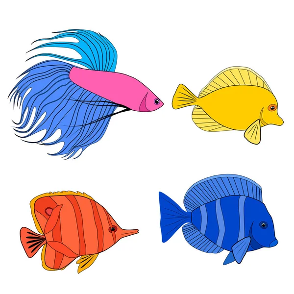 色の輪郭のセット異なる熱帯魚 魚の鶏 ペナント魚 王室の天使 海兵隊の住人 アイコン ロゴやあなたのデザインのためのベクトルカラフルなアウトラインシルエット — ストックベクタ