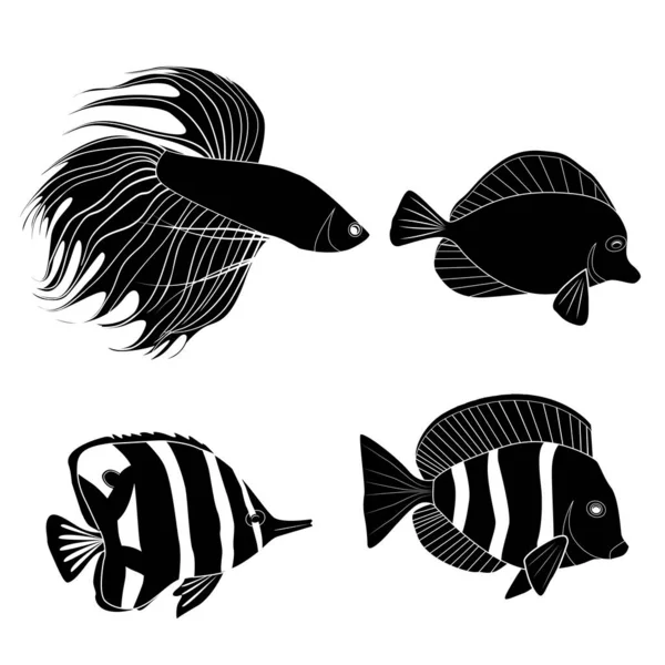 黒のシルエットの異なる熱帯魚のセット 魚の鶏 ペナント魚 王室の天使 海兵隊の住人 アイコン デザインのベクトルシルエット — ストックベクタ