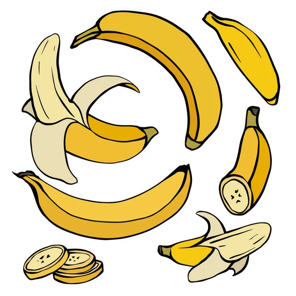 Sada Různých Obrysů Barevného Náčrtu Banánů Celé Zralé Banánové Plátky — Stockový vektor