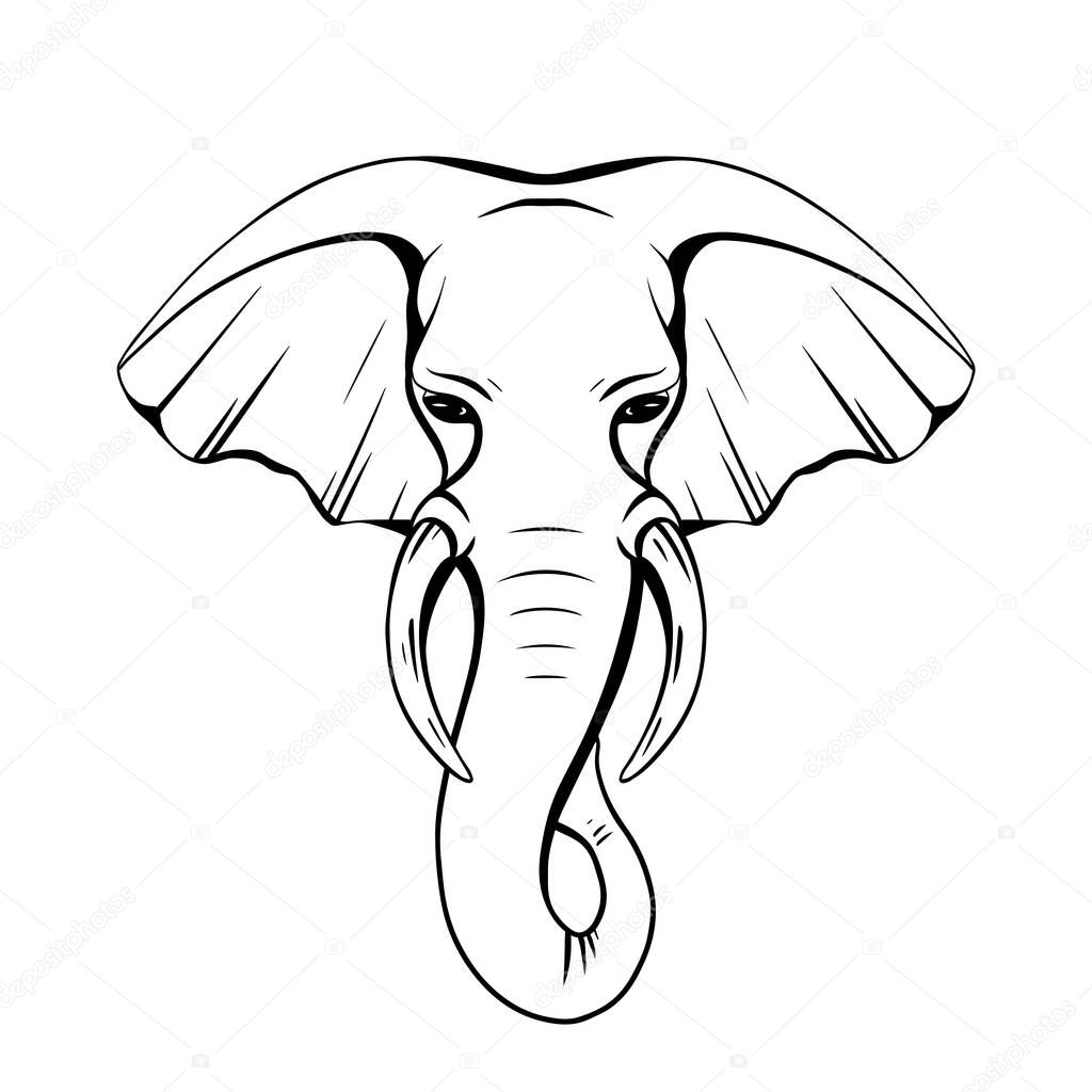 Contour elephant head with trunk and tusks. Wild mammal. Vector silhouette for coloring pages, logos, icons and your creativity.