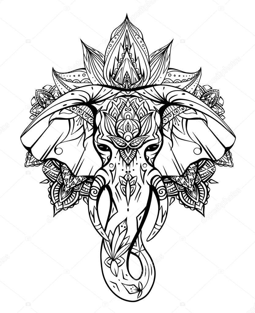 Contoured native elephant head with trunk, tusks and boho ornaments. Ganesha head with mandala. Vector silhouette for coloring pages, cards, banners and your creativity.