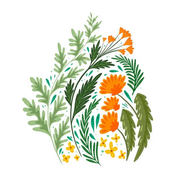 Ilustración Plana Campos Hierba Flores Ramo Ajenjo Hinojo Diente León — Vector de stock