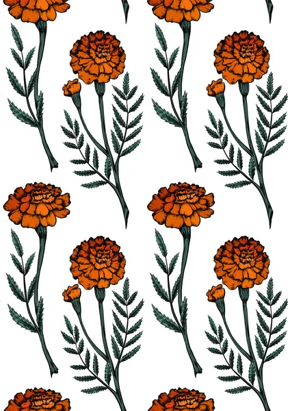 Nahtloses Muster Mit Farbenfrohen Botanischen Skizzen Von Ringelblumen Mit Schattierung — Stockvektor