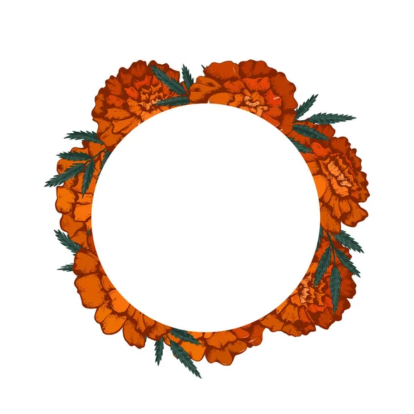Okrągła Ramka Kolorowym Szkicem Marigoldów Przestrzenią Kopiowania Karty Zaproszeniowe Kwiatuszkiem — Wektor stockowy