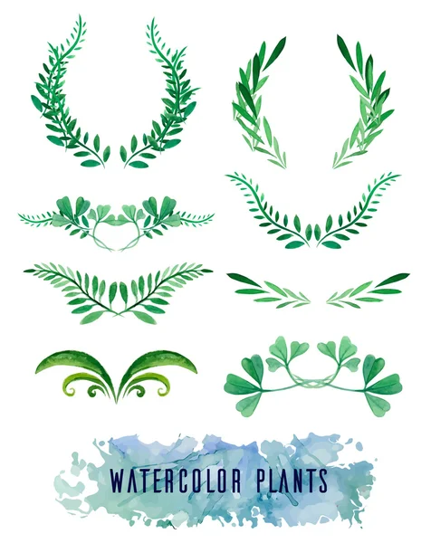 Coronas y marco de acuarelas de plantas — Vector de stock