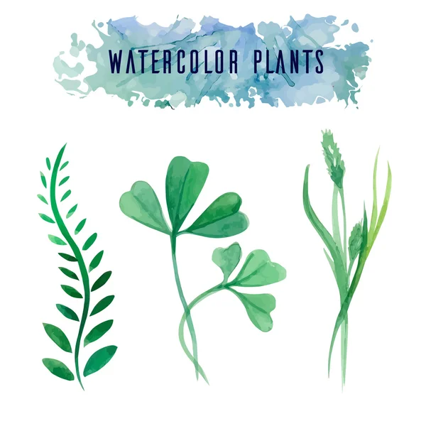 Conjunto com plantas aquarela — Vetor de Stock