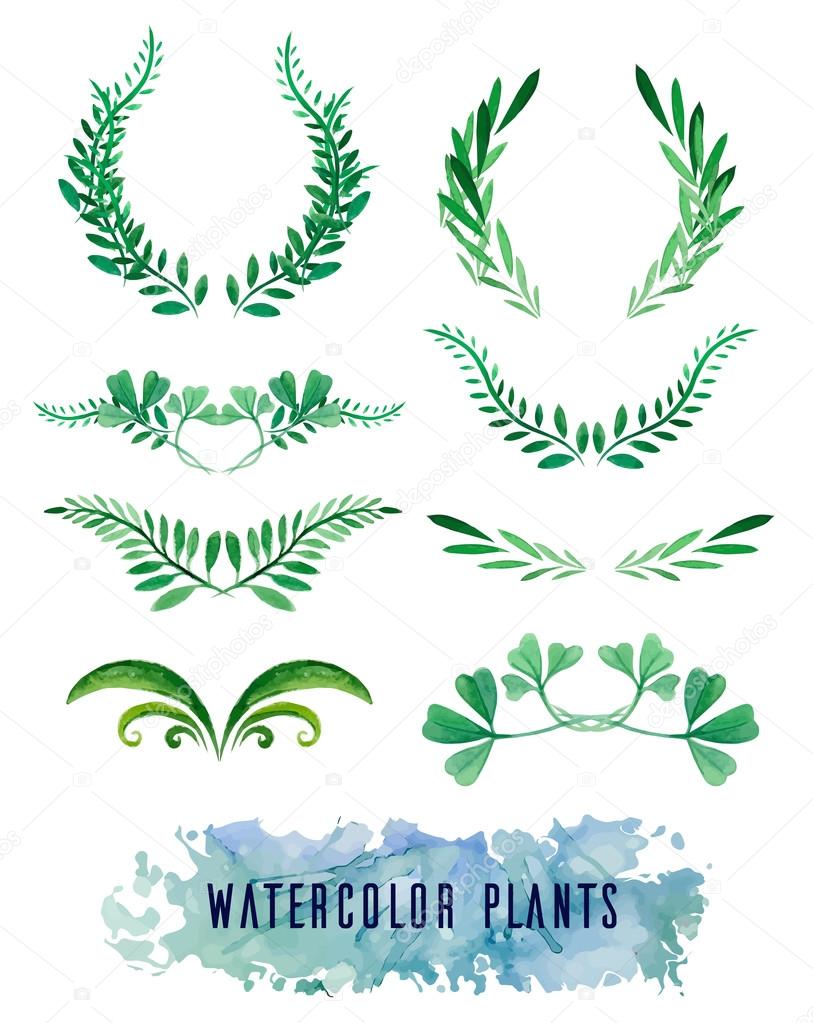 Wreaths and framework of watercolors of plants