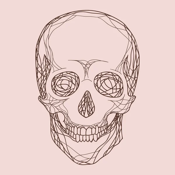 Vector cráneo humano — Vector de stock