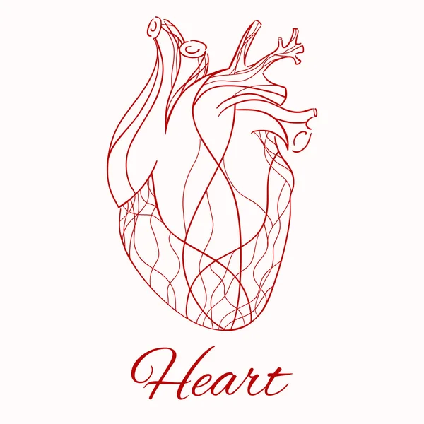 Corazón real de las líneas rojas — Vector de stock