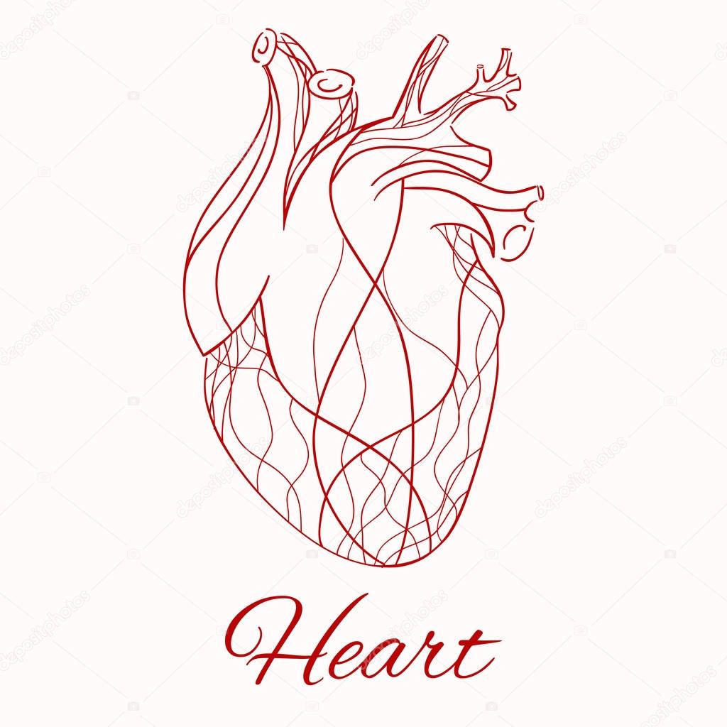 Real heart of the red lines Stock Illustration by ©veleri #76378725