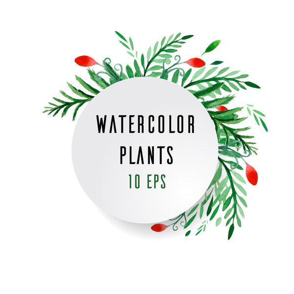 watercolor plants and flowers