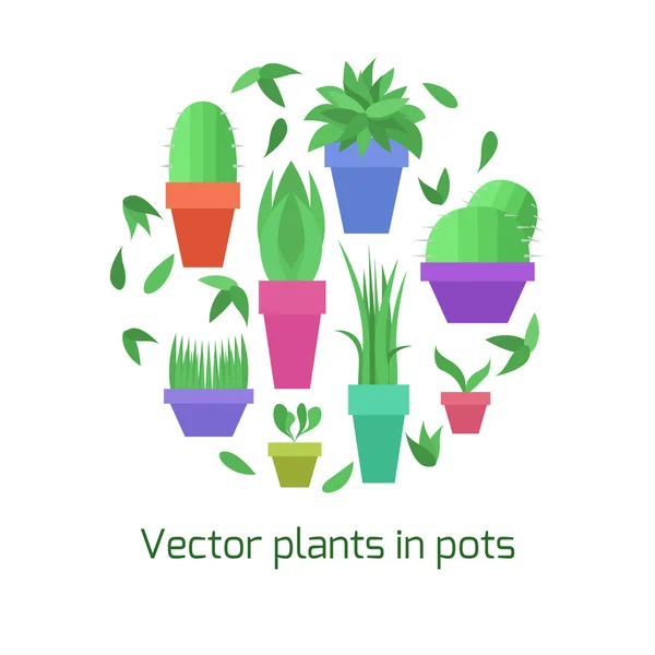 Collection of plants in pots — Stock Vector