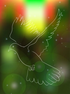 Uçan bir güvercin ile tebrik kartı
