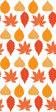 Sonbahar ile Seamless Modeli ben bırakır