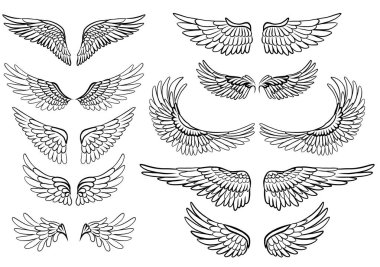 Kuş kanatlarının taslak sanatı vektör kümesi. Arka planda izole edilmiş melek kanatları koleksiyonu. Çıkartmalar ve kartpostallar için özgürlük ve uçuşun sembolü..