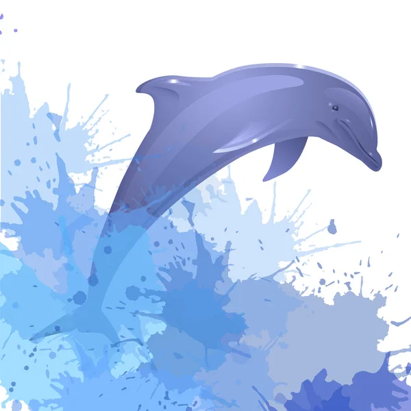 Dolphin and watercolor splashes — Stock Vector