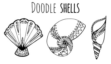 siyah ve beyaz deniz kabuklarını