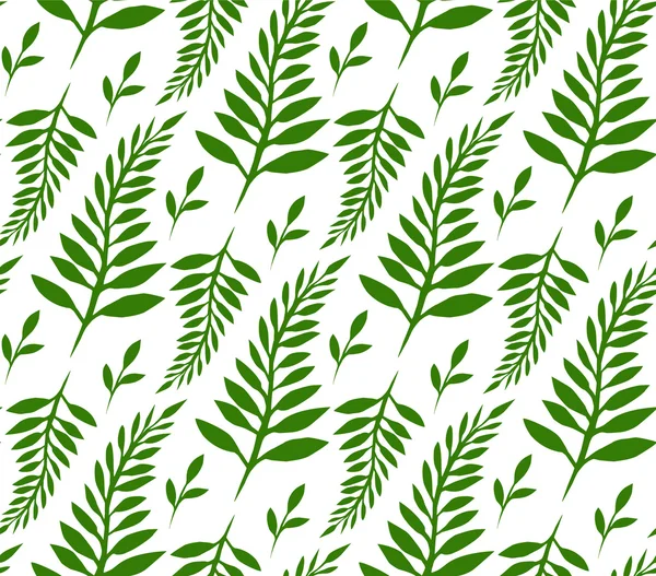Grüne Farne und Blätter — Stockvektor