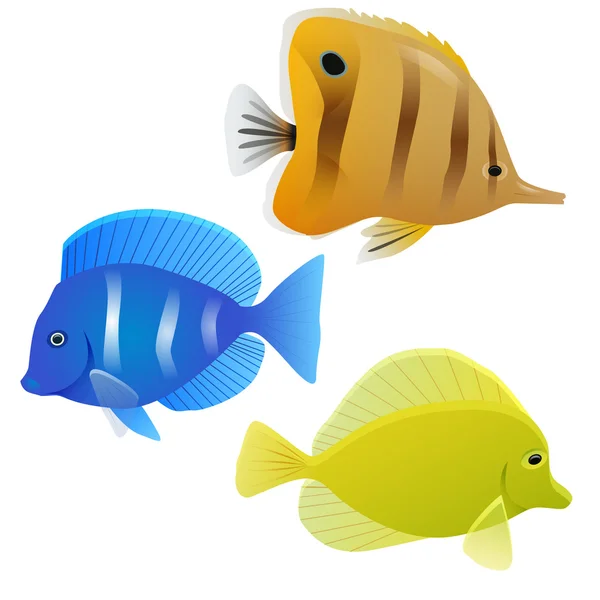 Reihe tropischer Fische — Stockvektor