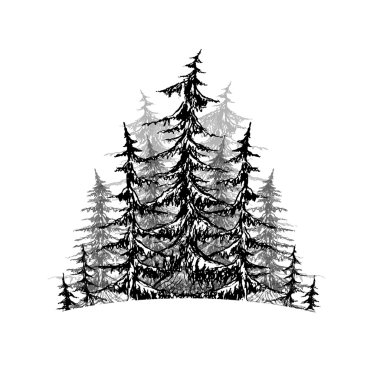 Black and white sketch of trees. vector Black and white sketch of trees. vector