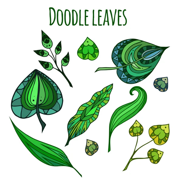 Satz gemusterter Doodle grüne Blätter. — Stockvektor
