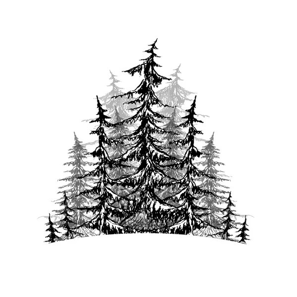 Black and white sketch of trees. — Stock Vector