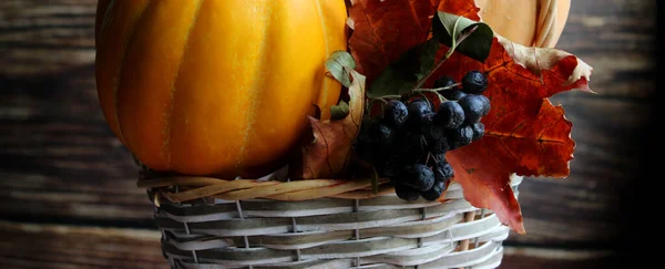 Obst Und Gemüse Mit Kürbissen Herbstlichen Stillleben — Stockfoto