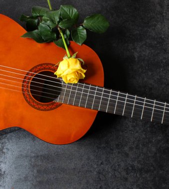 Hafif akustik gitar ve sarı gül. Güzel romantik arka plan