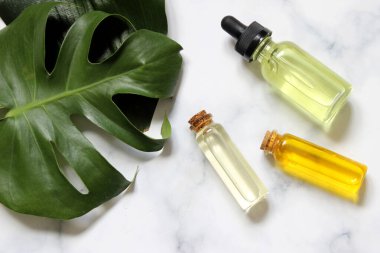 Taze bitkilerle birlikte gerekli yağ şişesi. Yüz ve vücut için masaj yağı. Rahatlama