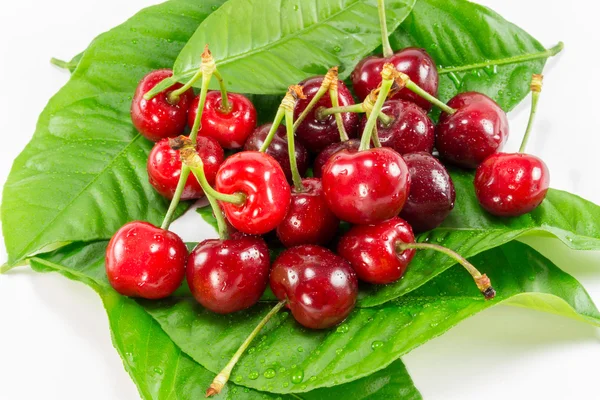 Isolated Cherry Fruit — Stock Photo, Image