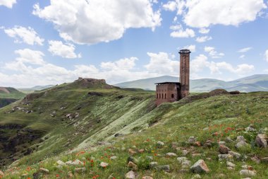 Historical Ani Ruins, Kars Turkey clipart