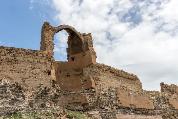 歴史的なアニ遺跡、カルス トルコ — ストック写真