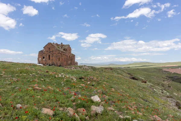 Rovine storiche di Ani, Kars Turchia — Foto Stock