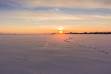 Karda ayak izleri. Kar ve kış manzara