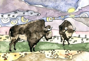 Buffalo ve gece manzara