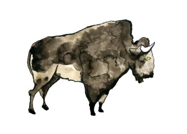 Buffalo suluboya resim.