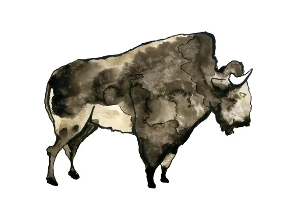 Buffalo akvarell illusztráció. — Stock Fotó