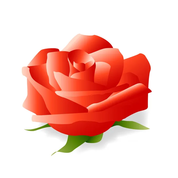 Rose rouge — Image vectorielle