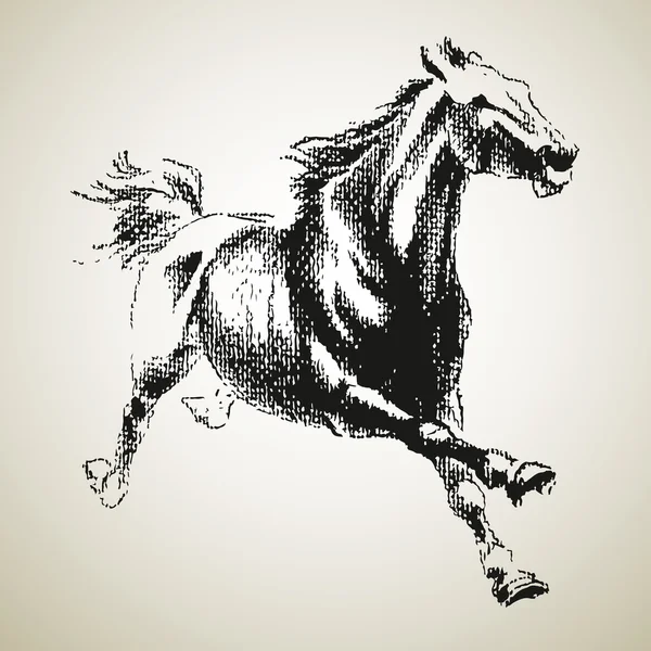 घोड़े का स्केच — स्टॉक वेक्टर